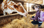 Tutti in Malga! Esperienza per famiglie - Museo Naturalistico di Asiago - 4 settembre 2022