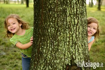 Bambini nel bosco ad Asiago