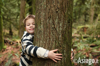 bambino che abbraccia un albero