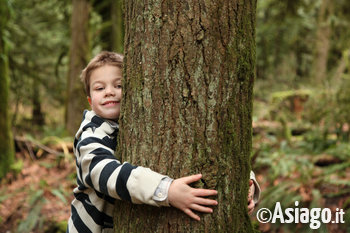 Bambino nel bosco dietro ad un albero