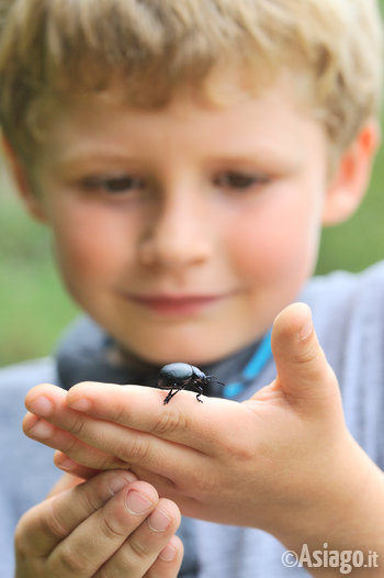 Bambino osserva incuriosito un insetto