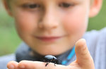"La super vista degli insetti" - Laboratorio scientifico per bambini ad Asiago - 1 agosto 2019