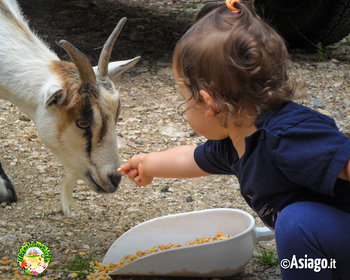 Bimba con capretta