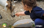 The children's farm at Il Cason delle Meraviglie - 28 May 2022