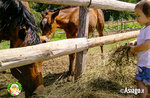 The farm of the little ones in Il Cason delle Meraviglie - August 21 2021