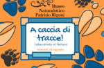 "CACCIA ALLA TRACCIA! - Laboratorio per bambini ad Asiago - 23 agosto 2018