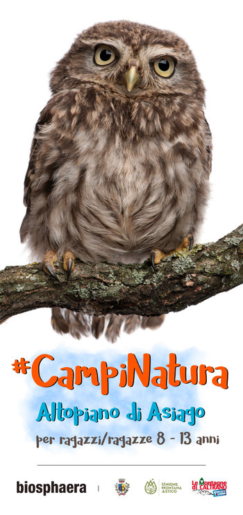 Campi natura per ragazzi dagli 8 ai 13 anni a Malga Carioletta - Estate 2017 Campi natura per ragazzi dagli 8 ai 13 anni a Malga Carioletta - Estate 2017