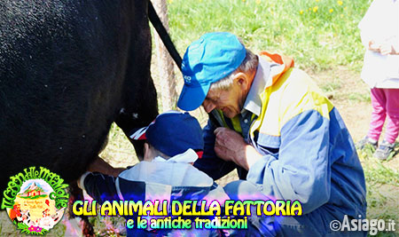 Animali della fattoria - Cason delle Meraviglie