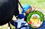 Kinder auf dem Bauernhof Tiere Carlson 03/08-Wonderland Treschè Laver