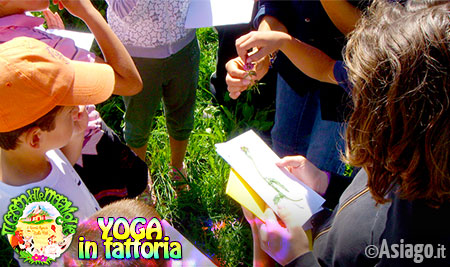 Yoga in fattoria - Cason delle Meraviglie Yoga in fattoria - Cason delle Meraviglie