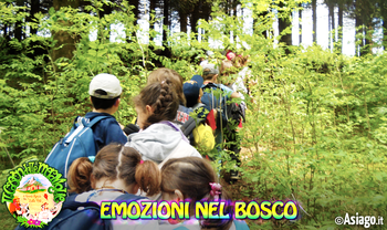 Emozioni nel bosco cason delle meraviglie