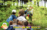 "EMOZIONI NEL BOSCO" - Passeggiata per bambini con il Cason delle Meraviglie - 2 giugno 2018