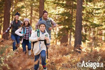 Famiglia nel bosco