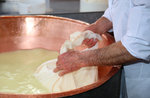 Laboratorio TUTTI IN MALGA al Museo Naturalistico di Asiago, 20 agosto 2016