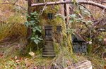 Fiaba, narrazione e laboratorio "Il piccolo giardino degli ELFI!", Museo Naturalistico di Asiago - 17 agosto 2018