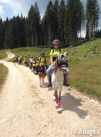 giro in pony per bambini roana 