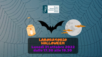 Halloween al Museo: Laboratori e giochi per bambini al Museo Naturalistico di Asiago - 31 ottobre 2022
