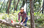 "Altes Handwerk: Wir gehen in den Wald, man würde erwarten, dass die Woodman" organisiert durch das Museo Naturalistico di Asiago-August 3, 2017