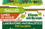Children's workshop "The forest and its secrets" in Gallio - 29 July 2019