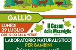 Laboratorio per bambini "Il bosco e i suoi segreti" a Gallio - 29 luglio 2019