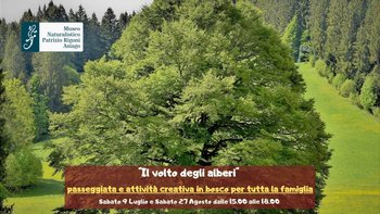 Il volto degli alberi