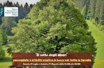 "The face of the trees": walk and creative activity in the woods - Naturalistic Museum of Asiago - July 9, 2022