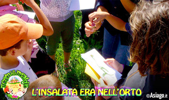 Insalata era nell orto cason delle meraviglie 2016