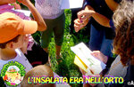 "L'INSALATA ERA NELL'ORTO" - Caccia al tesoro e giochi per bambini al Cason delle Meraviglie - 7 luglio 2018