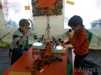 Laboratori per bambini ad Asiago Foliage