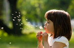 Educational workshop for children "Shower head and dandelion: traditions and legends" - Museo Le Carceri Asiago, 10 October 2021