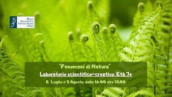 Laboratorio Fenomeni di Naura al Rustigo Bertigo