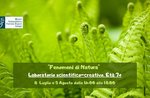 Fenomeni di Natura - Laboratorio scientifico-creativo per bambini al Rustigo Bertigo - 5 agosto 2020