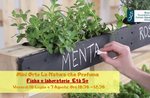 "Minigarten: Natur, die riecht" - Märchen und Workshop bei Rustigo Bertigo - 7. August 2020