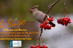 Workshop "Il Rosso nel Becco" in the center of Asiago by the Naturalistic Museum - 22 and 23 October 2022