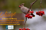 Laboratorio naturalistico "Il rosso nel becco" in centro ad Asiago a cura del Museo Naturalistico 22 e 23 ottobre 2022