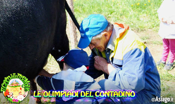 Le olimpiadi del contadino Le olimpiadi del contadino