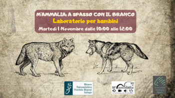 M'ammalia: a spasso con il branco - Laboratorio per bambini ad Asiago - 1 novembre 2022