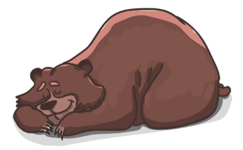 Orso appisolato Orso appisolato