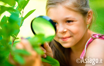 Laboratorio per bambini al Museo Naturalistico di Asiago