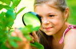 Gli alberi cari a Mario Rigoni Stern - Laboratorio per bambini ad Asiago - 2 gennaio 2020