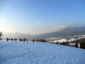 Paesaggio inverno