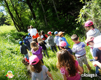 Posseggiata nel bosco Cason delle Meraviglie