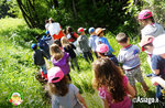 Posseggiata nel bosco Cason delle Meraviglie