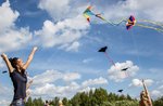 "Young eagles, eagles and kites"-workshop in nature to the naturalistic Museum of Asiago-2 August 2018