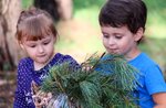 "Baumweben" - Kreativer naturalistischer Workshop für Kinder in Asiago - 6. August 2019
