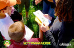 Green Week for Children at the Cason of the Wonders of Treschè Conca - from June 28 to July 2 2021