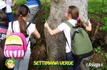 Green Week for Children at the Cason of the Wonders of Treschè Conca - from 12 to July 16 2021