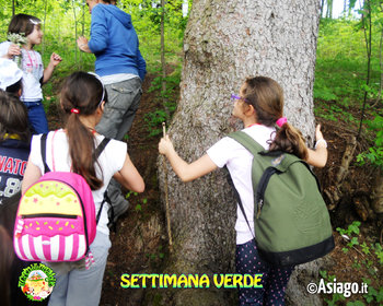 Settimana verde Cason delle Meraviglie Altopiano di Asiago