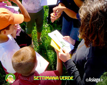 Settimana verde Cason delle Meraviglie Altopiano di Asiago