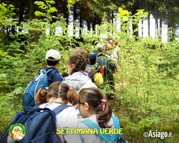 Settimana verde Cason delle Meraviglie Altopiano di Asiago